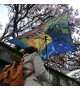 Parapluie / ombrelle Carré Delos "Café de nuit" de Van gogh